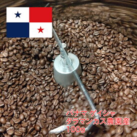 ＼送料無料／ コーヒー コーヒー豆 ゲイシャ【パナマ ゲイシャタラマンカス農園100グラム】豆または粉