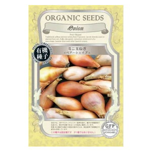 _^[֔yO[tB[hvWFNg@L@q ~jʂ˂ iyA[VFCvj ytH܂zyŒz×5Zbgz񂹕iłB