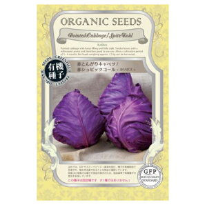 _^[ւɂĔyO[tB[hvWFNg@L@q ԂƂ񂪂Lxc/ԃVsBcR[iJ{Xj@ytďH܂zyŒz×5Zbgz