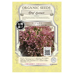 _^[ւɂĔyO[tB[hvWFNg@L@q [t^Xi bT / Tj[^Xn&ԍFjytH܂zyŒz×5Zbgz񂹕i