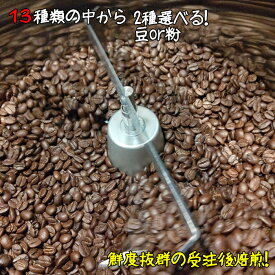 13種類から選べるお試し 約20杯分 ＼1200円ポッキリ 送料無料 メール便／受注後に焙煎【選べるお試し福袋コーヒー豆】珈琲豆 コーヒー豆 COFFEE豆 coffeebeans コーヒー粉100グラム×2種 ポイント消化 買い回り 買いまわり