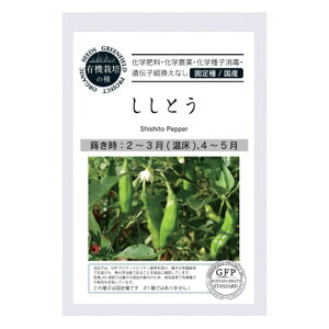 [ւɂĔyO[tB[hvWFNg@L@q Ƃ yt܂zyŒz×5Zbgz