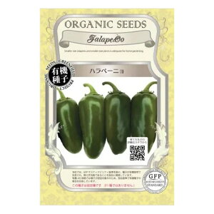 [ւɂĔyO[tB[hvWFNg@L@q ny[j yt܂zyŒz×5Zbgz