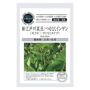 [ւɂĔyO[tB[hvWFNg@L@q V]ːؓ (ۂ / Ȃ) ytĂ܂zyŒz×5Zbgz񂹕ił