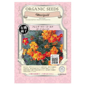 [ւɂĔyO[tB[hvWFNg@L@q@t`}[S[hi_[NIWj yt܂zyŒz×5Zbgz񂹕ił