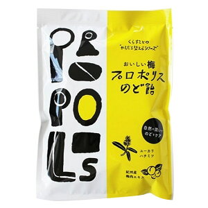 y炷Ƃ̔~v|X̂ǈ@80g×10Zbg񂹁z