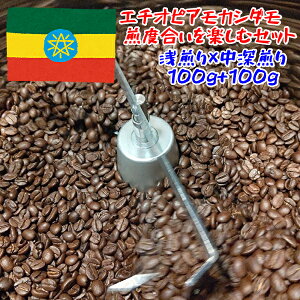   G`IsA JV_ ×[Zbg e100g iv200OjR[q[ R[q[ 蓤 ݔ  