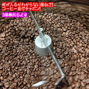 s󒍌t_ [ց^ ɃQbgo邩H łłyR[q[ 100O×33ރZbgzR[q[  R[q[  蓤 Coffee 