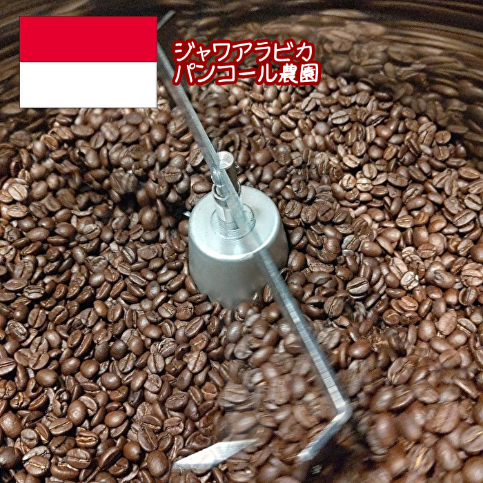 インドネシアのジャワ島から高品質なコーヒーが届きました コーヒー コーヒー豆 インドネシア産 ジャワ アラビカ 珈琲豆 COFFEE 送料無料お手入れ要らず パンコール農園コーヒー豆 ２００グラム 完全送料無料 スペシャリティコーヒー 自家焙煎