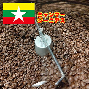 R[q[ R[q[ y~}[R[q[ W[jAX 200Oz蓤   XyVeB[R[q[ 