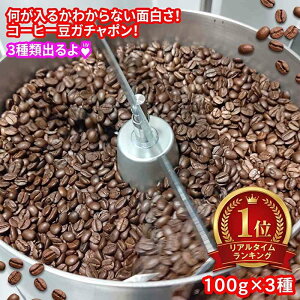《受注後焙煎》＼送料無料 メール便／ 高級豆をお得にゲット出来るかも？ 粉でも豆でも可【コーヒー豆 100グラム×3袋3