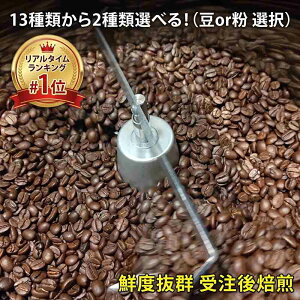 【買いまわり推奨】 送料無料 1000円台 13種類から選べるお試し 約20杯分 ＼1450円ポッキリ 送料無料 メール