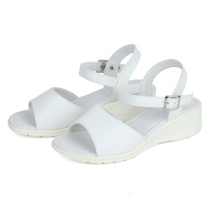 T_ fB[X ItBX ɂȂ [q[  3.5cmq[ U[ v   ɂ Xgbv 22.5-24.5cm ubN d E  i[XT_ TG[vXt