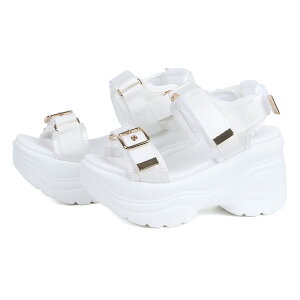 X|[cT_ fB[X  T_  ɂ ɂȂɂ X|T 킢  y  nCq[ obNxg xN 8.5cmq[ ubN zCg  No.1681 22