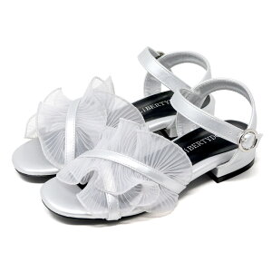 T_ fB[X [q[ 킢 t VA[ [X ANXgbv EȂ v 킢  Vo[ AC{[  ؂ 22.5-24.5cm oeB[h[ No.41