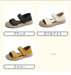 RtH[gT_ T_ fB[X Ȃ X|[cT_ c[xg X|T }WbNe[v  킢 JWA  ₷ ɂȂ EȂ N` y