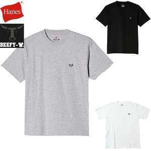 Hanes BEEFY-T �w�C���Y �r�[�t�B�[ T�V���c H8-T301