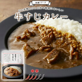 【メール便対応】牛すじカレー 中辛 和風カレー ニシキヤキッチン 牛すじ肉 牛すじ 牛すじ煮込み 牛 中辛カレー レトルトカレー カレーライス カレー レトルト レトルト食品 無添加 化学調味料無添加 にしきや にしき食品【68】