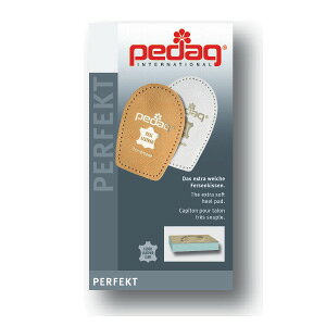 pedag y_bN@C\[@p[tFNg@Art133@Ɨpn[tC\[