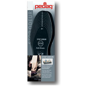 pedag y_bN@C\[@Xgbv@IhC[@Art163@t[TCY@hLC\[