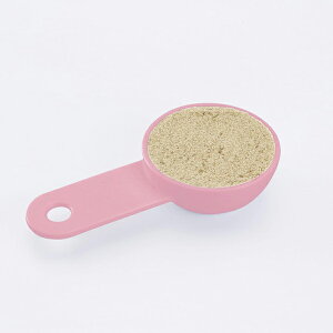 L@KAI KITCHEN@XgbJ[ɓvʃXv[@3Zbg@DH8124