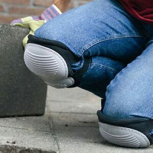 seiei@ZCGC@j[K[fЂăpbh@115088