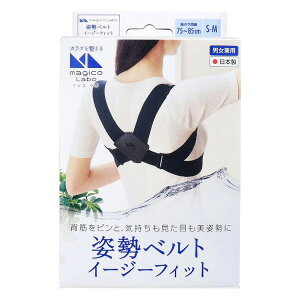 R magico Labo(}WR {) pxg C[W[tBbg(1R) { jp y RpNg