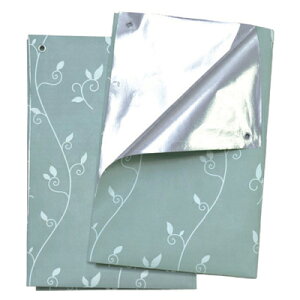 BNg[@CeAA[gfMEՌV[g@2g@ȃGl@ډB@J[e