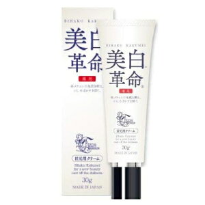 pv@ڌpN[@30g@򕔊Oi@XLPA@@ڌPA