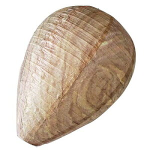 xm@_~[n`̑@F20243@@S@AEghA