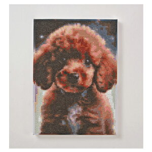 ACfAY@r[YA[g@_ChLpX@H@@CeA