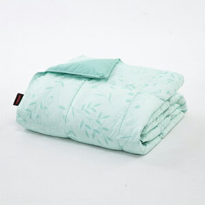 eCW@}CNtbtB[@|ӂƂ@VO@z@@\Q@y