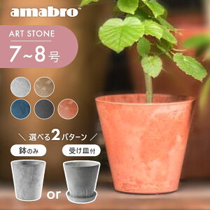 観葉植物 多肉植物 8号の人気商品 通販 価格比較 価格 Com