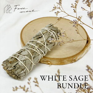 yr[TztH[gg Foretment zCgZ[W oh WHITE SAGE BUNDLE 򉻗p  F    fBt[U[ i` tOX VRn[u