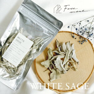 tH[gg Foretment zCgZ[W 򉻗p  F    fBt[U[ i` eCXg tOX Y {Y