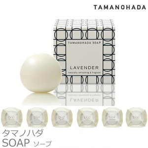 TAMANOHADA ^}mn_\[v 125g ʂ̔Ό ^}mn_6  ΂ Ό  {fBPA ^}mn_ Mtg v[g