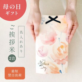 母の日のごあいさつ米（2合） ／ 母の日 プレゼント 実用的 ギフト 孫 子ども 米 花以外 令和6年産 きぬむすめ 食べ物 食品 グルメ カーネーション 使える 名入れ メッセージ入れ お母さんありがとう 感謝 かわいい おしゃれ