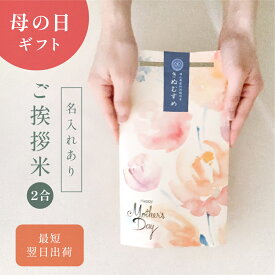 本日PT3倍／母の日のごあいさつ米（2合） ／ 母の日 プレゼント 実用的 ギフト 孫 子ども 米 花以外 令和7年産 きぬむすめ 食べ物 食品 グルメ カーネーション 使える 名入れ メッセージ入れ お母さんありがとう 感謝 かわいい おしゃれ