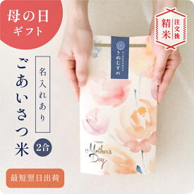 母の日のごあいさつ米（2合） ／ 母の日 プレゼント 実用的 ギフト 孫 子ども 米 花以外 令和7年産 きぬむすめ 食べ物 食品 グルメ カーネーション 使える 名入れ メッセージ入れ お母さんありがとう 感謝 かわいい おしゃれ