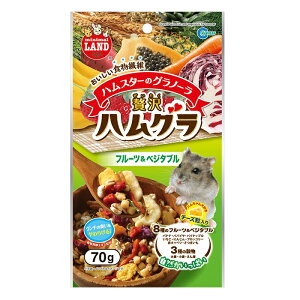 ґnO@t[cxW^u@70g@4906456556756@}J@nX^[AfO[AXAKAv[[hbOȂ