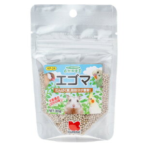 Rh@GS}@30g@4972228256247@ybgt[h@@GT @@