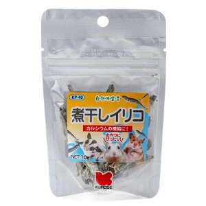 Rh@ϊCR@10g@4972228256407@ybgt[h@@GT@