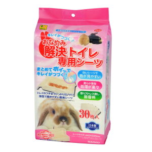 Ȃ݉gC@pV[c@30@OW@4976285251009@LCÂApVXegC@pV[c