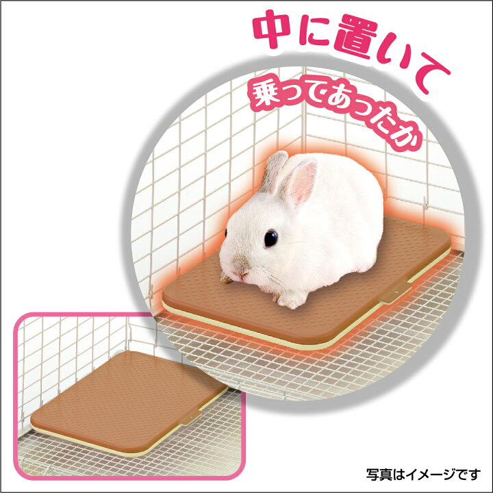 区別 彼は 夕食を作る うさぎ 保温 ヒーター 議会 知恵 追記