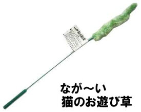 楽天市場 猫じゃらし 草の通販