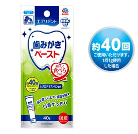 エブリデント　歯みがきくん　歯みがきペースト　ミルクミント風味　40g　アース　4994527888905　愛犬・愛猫用　栄養補完食