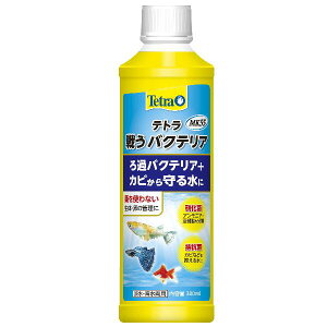 eg@키oNeA@MK55@300ML@4571269555939@WACp