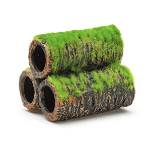 GEX@ Șa̒ yS@4972547025005