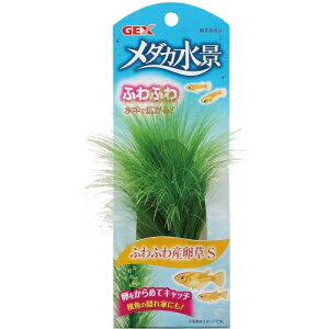 GEX@_Ji @ӂӂYS@4972547029737@Ϗ܋p @CAEg@ 