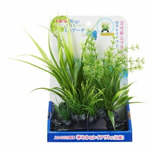 GEX@ i @MIXvc @~jA[` ~ItB@4972547037756@Ϗ܋p @CAEg@ 